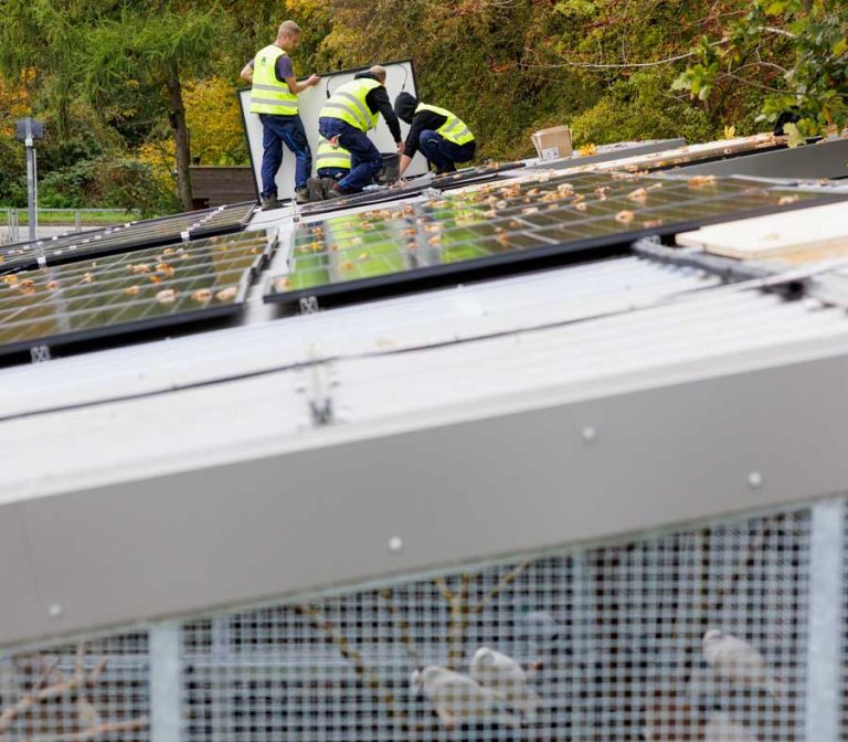 Solaranlagen-Spende an das Tierheim Kiel